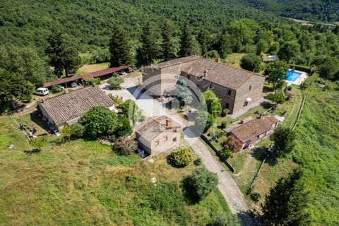 Villa a Grosseto, Grosseto, Grosseto - € 6.500.000 | Ref: IB 532 - foto 7