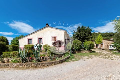 Villa a Grosseto, Grosseto, Grosseto - € 6.500.000 | Ref: IB 532 - foto 8