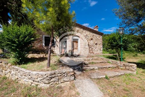 Villa a Grosseto, Grosseto, Grosseto - € 6.500.000 | Ref: IB 532 - foto 10