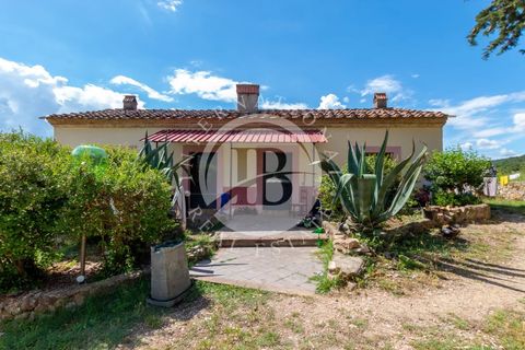 Villa a Grosseto, Grosseto, Grosseto - € 6.500.000 | Ref: IB 532 - foto 11