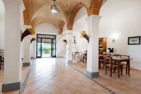 Villa a Grosseto, Grosseto, Grosseto - € 6.500.000 | Ref: IB 532 - foto 12