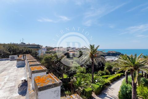 Villa i Rosignano Marittimo, Livorno, Rosignano Marittimo - € 6.500.000 | Ref: IB 489 - foto 13