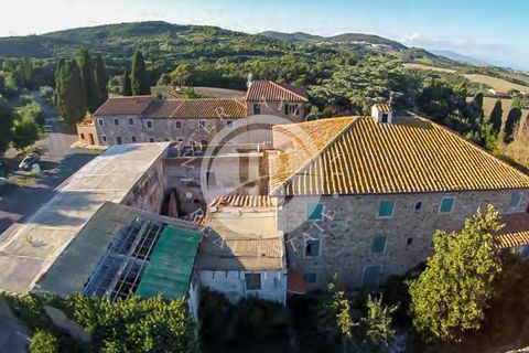 Landejendom i Rosignano Marittimo, Livorno, Rosignano Marittimo - € 12.000.000 | Ref: IB 463.2 - foto 13
