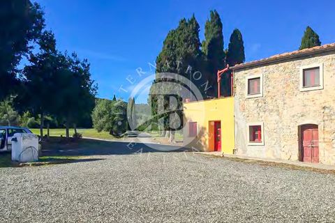 Landejendom i Rosignano Marittimo, Livorno, Rosignano Marittimo - € 12.000.000 | Ref: IB 463.2 - foto 14