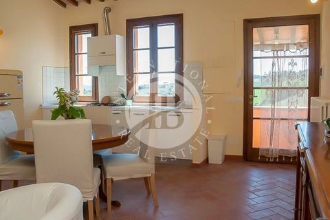Landejendom i Rosignano Marittimo, Livorno, Rosignano Marittimo - € 12.000.000 | Ref: IB 463.2 - foto 20