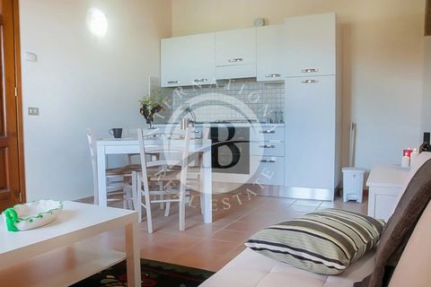 Landejendom i Rosignano Marittimo, Livorno, Rosignano Marittimo - € 12.000.000 | Ref: IB 463.2 - foto 24