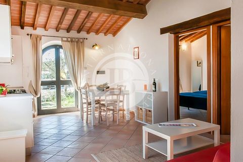 Landejendom i Rosignano Marittimo, Livorno, Rosignano Marittimo - € 12.000.000 | Ref: IB 463.2 - foto 26