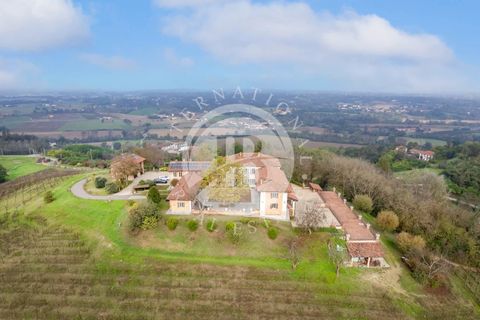 Villa a Asti, Asti, Asti - € 2.550.000 | Ref: IB 572 - foto 3