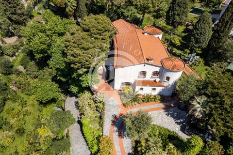 Villa i Bordighera, Imperia, Bordighera - € 1.990.000 | Ref: IB 522 - foto 3