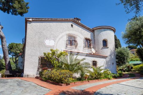 Villa i Bordighera, Imperia, Bordighera - € 1.990.000 | Ref: IB 522 - foto 6