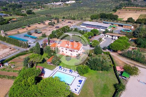 Landejendom i Rosignano Marittimo, Livorno, Rosignano Marittimo - € 2.800.000 | Ref: IB 418 - foto 2