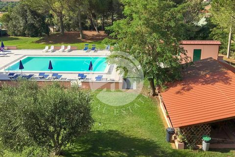 Landejendom i Rosignano Marittimo, Livorno, Rosignano Marittimo - € 2.800.000 | Ref: IB 418 - foto 10