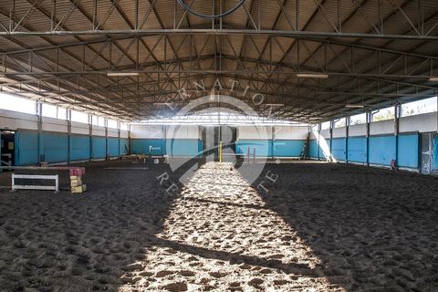 Landejendom i Rosignano Marittimo, Livorno, Rosignano Marittimo - € 2.800.000 | Ref: IB 418 - foto 13