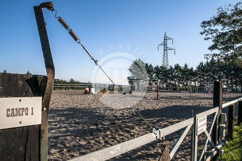 Landejendom i Rosignano Marittimo, Livorno, Rosignano Marittimo - € 2.800.000 | Ref: IB 418 - foto 14