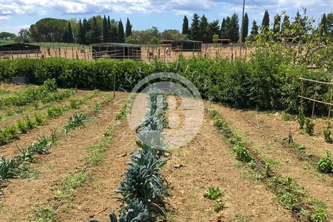 Landejendom i Rosignano Marittimo, Livorno, Rosignano Marittimo - € 2.800.000 | Ref: IB 418 - foto 16