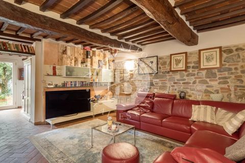 Landejendom i Terranuova Bracciolini, Arezzo, Terranuova Bracciolini - € 3.000.000 | Ref: IB 740 - foto 6