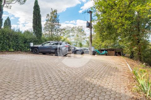 Landejendom i Terranuova Bracciolini, Arezzo, Terranuova Bracciolini - € 3.000.000 | Ref: IB 740 - foto 20
