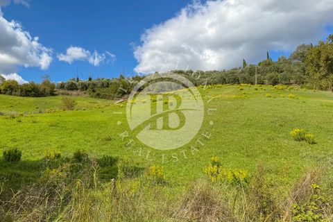 Landejendom i Terranuova Bracciolini, Arezzo, Terranuova Bracciolini - € 3.000.000 | Ref: IB 740 - foto 31