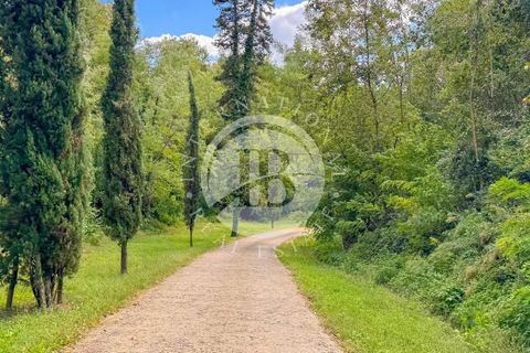 Landejendom i Terranuova Bracciolini, Arezzo, Terranuova Bracciolini - € 3.000.000 | Ref: IB 740 - foto 32