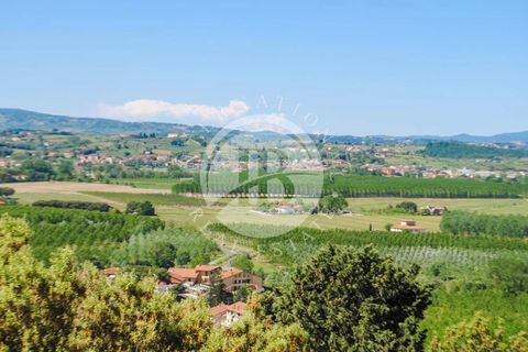 Villa i Palaia, Pisa, Palaia - € 3.200.000 | Ref: IB 705 - foto 12