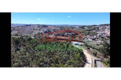 Helårsgrund i Matacaes, Lisbon, Matacaes - € 250.000 | Ref: TRN140 - foto 5