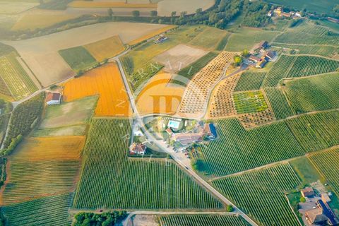Villa i Asti, Asti, Asti - € 3.495.000 | Ref: IB 676 - foto 3