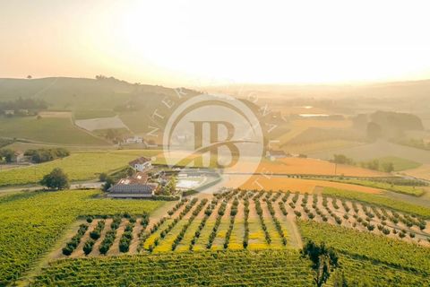 Villa i Asti, Asti, Asti - € 3.495.000 | Ref: IB 676 - foto 4