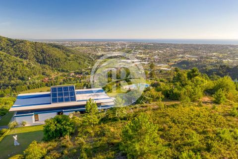 Villa i Camaiore, Lucca, Camaiore - € 3.600.000 | Ref: IB 378 - foto 6