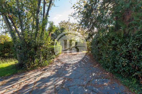 Villa i Pietrasanta, Lucca, Pietrasanta - € 2.050.000 | Ref: IB 755 - foto 27