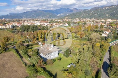 Villa i Pietrasanta, Lucca, Pietrasanta - € 2.050.000 | Ref: IB 755 - foto 30
