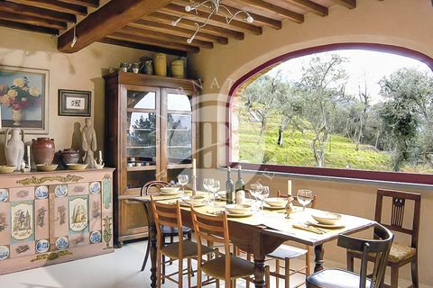 Landejendom i Camaiore, Lucca, Camaiore - € 1.500.000 | Ref: IB 510 - foto 11