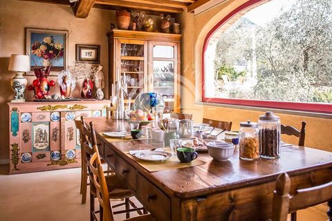 Landejendom i Camaiore, Lucca, Camaiore - € 1.500.000 | Ref: IB 510 - foto 12