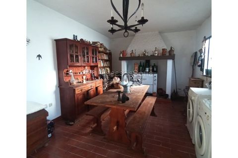 Villa a Riachos, Santarem, Riachos - € 250.000 | Ref: 1104 - foto 11