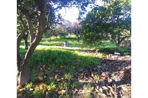 Villa a Riachos, Santarem, Riachos - € 250.000 | Ref: 1104 - foto 12