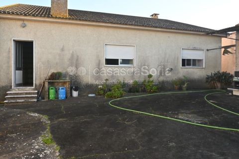 Villa a Riachos, Santarem, Riachos - € 250.000 | Ref: 1104 - foto 16