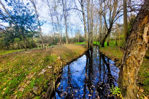 Villa a Jonzac, Charente-Maritime, Jonzac - € 342.000 | Ref: 3011443243 - foto 3