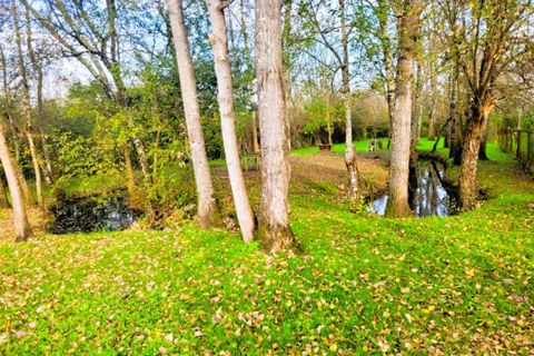 Villa a Jonzac, Charente-Maritime, Jonzac - € 342.000 | Ref: 3011443243 - foto 16