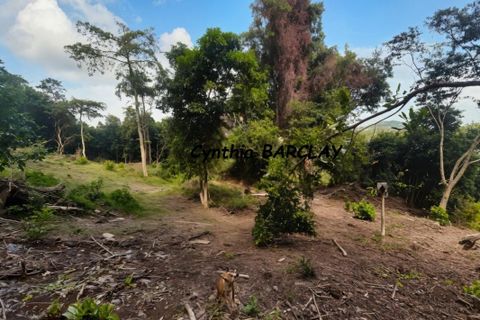 Terreno en La Trinite, Martinique, La Trinite - € 400.000 | Ref: 3011443224 - photo 3