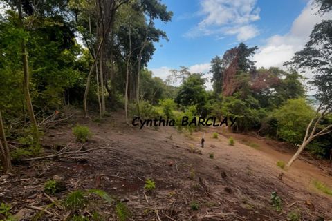 Terreno en La Trinite, Martinique, La Trinite - € 400.000 | Ref: 3011443224 - photo 5