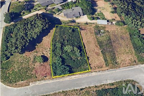 Terra a Viseu, Viseu, Viseu - € 63.000 | Ref: 834699 - foto 2