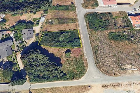 Terra a Viseu, Viseu, Viseu - € 63.000 | Ref: 834699 - foto 6