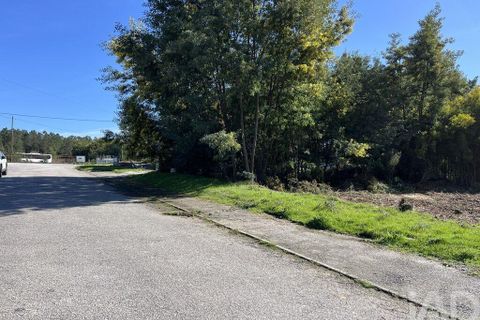 Terra a Viseu, Viseu, Viseu - € 63.000 | Ref: 834699 - foto 7
