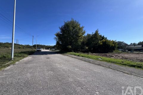 Terra a Viseu, Viseu, Viseu - € 63.000 | Ref: 834699 - foto 8