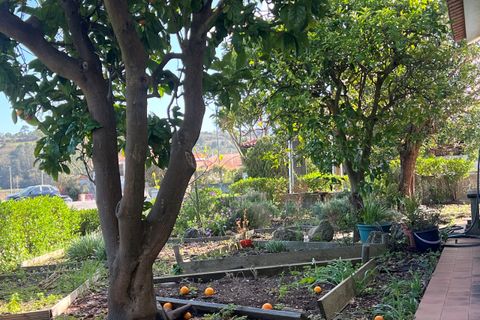 Villa i Obidos, Leiria, Obidos - € 440.000 | Ref: CB02-0382 - foto 36