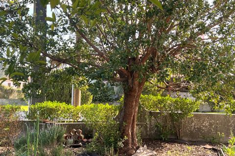 Villa i Obidos, Leiria, Obidos - € 440.000 | Ref: CB02-0382 - foto 37