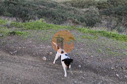 Helårsgrund i Castro Marim, Faro, Castro Marim - € 120.000 | Ref: SU-CS-TER-94292 - foto 18