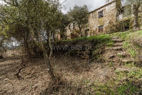 Byhus i Covilha, Castelo Branco, Covilha - € 55.000 | Ref: 111260024 - foto 13