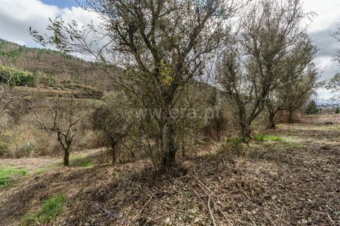 Byhus i Covilha, Castelo Branco, Covilha - € 55.000 | Ref: 111260024 - foto 14