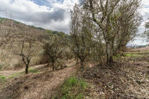 Byhus i Covilha, Castelo Branco, Covilha - € 55.000 | Ref: 111260024 - foto 15