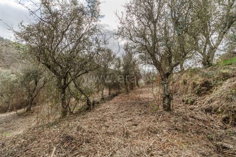 Byhus i Covilha, Castelo Branco, Covilha - € 55.000 | Ref: 111260024 - foto 16